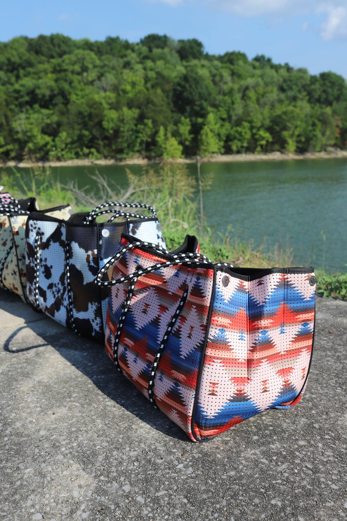 Beach Hand Bag in Aztec