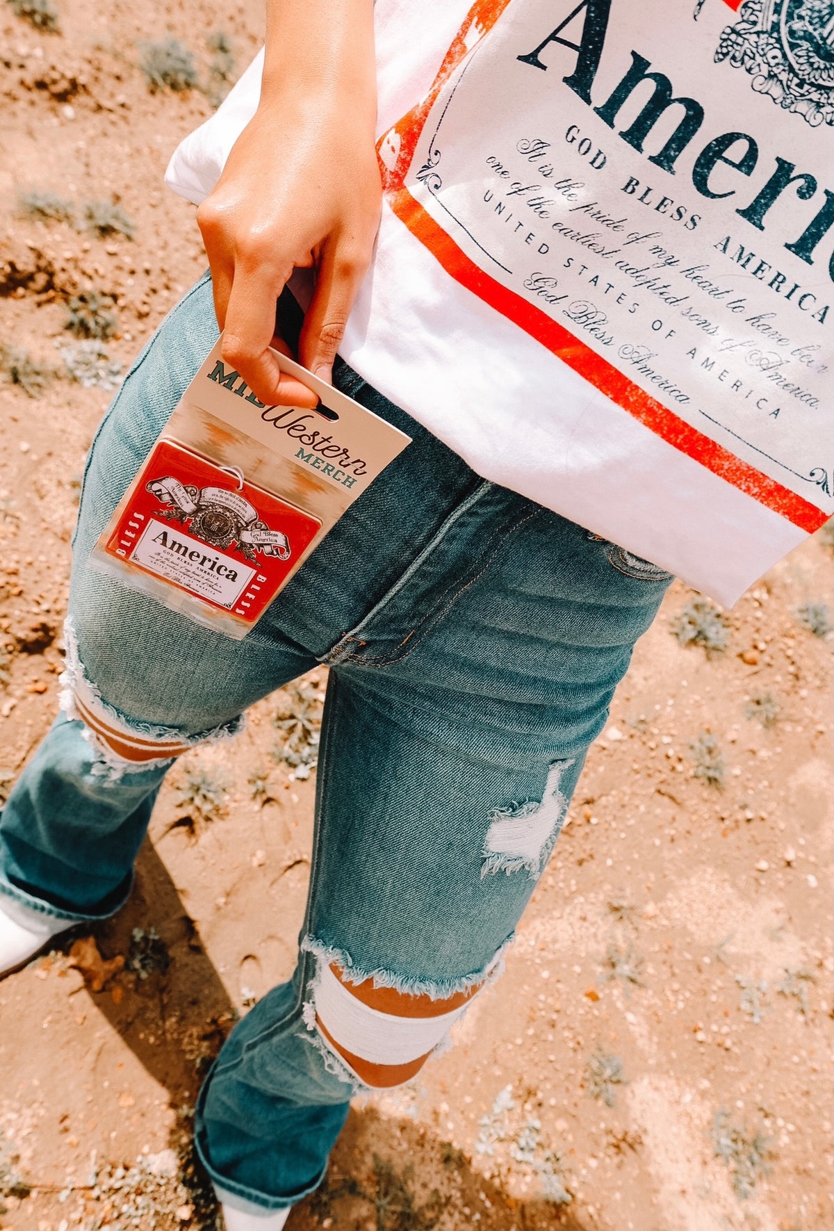 America Air Freshener